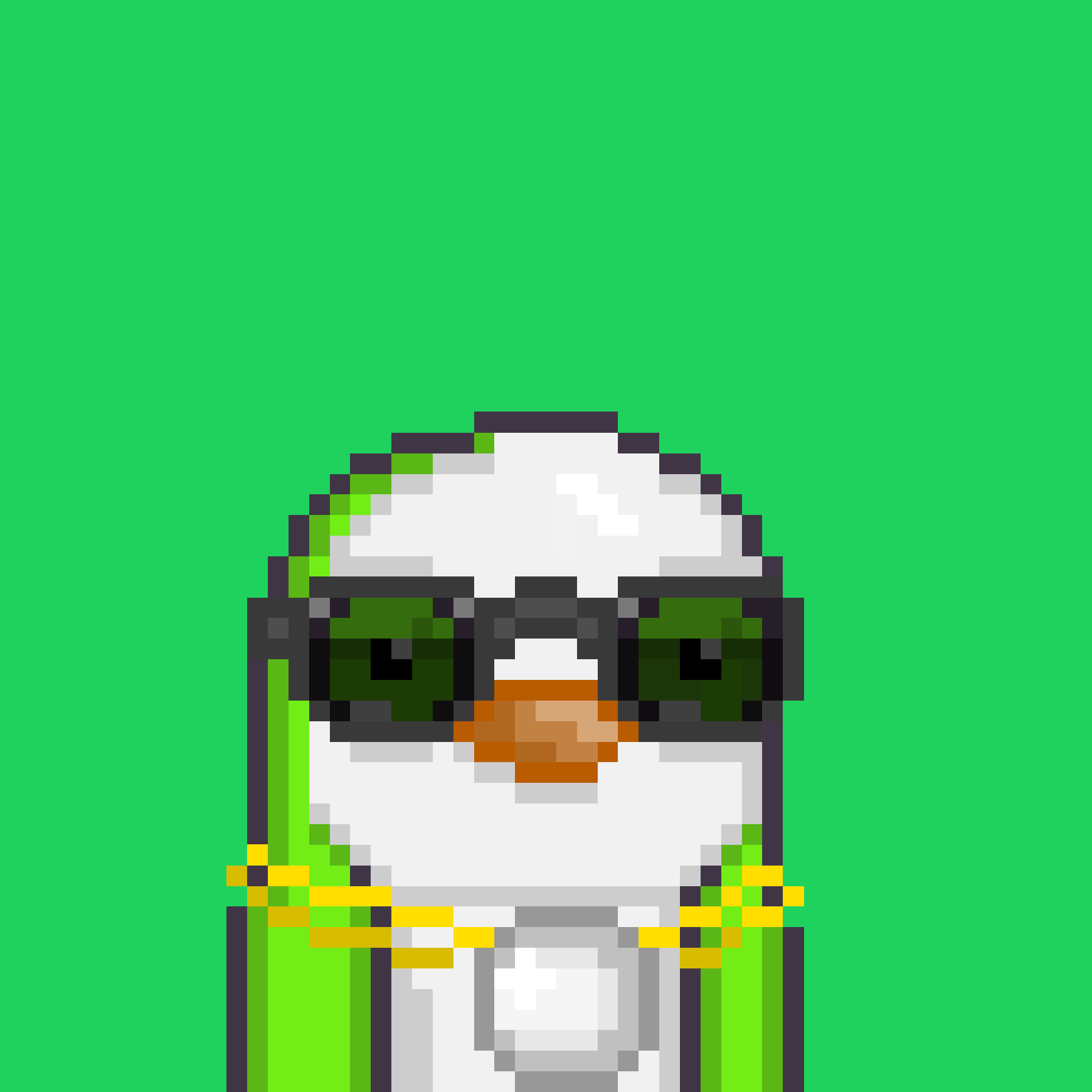 Algo Pengu #877 NFT on Algorand