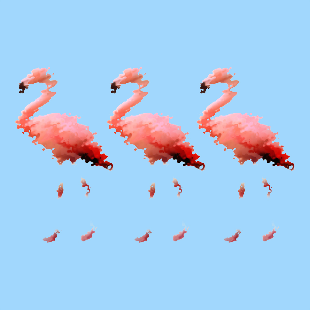 Distorted Flamingos #1 NFT on Algorand