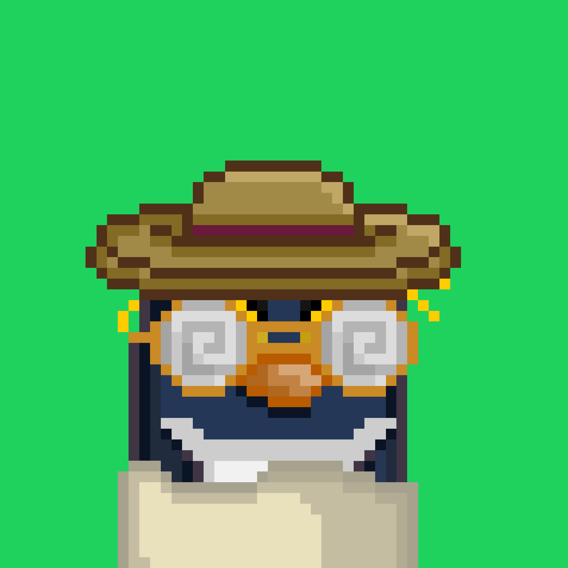 Algo Pengu #1139 NFT on Algorand