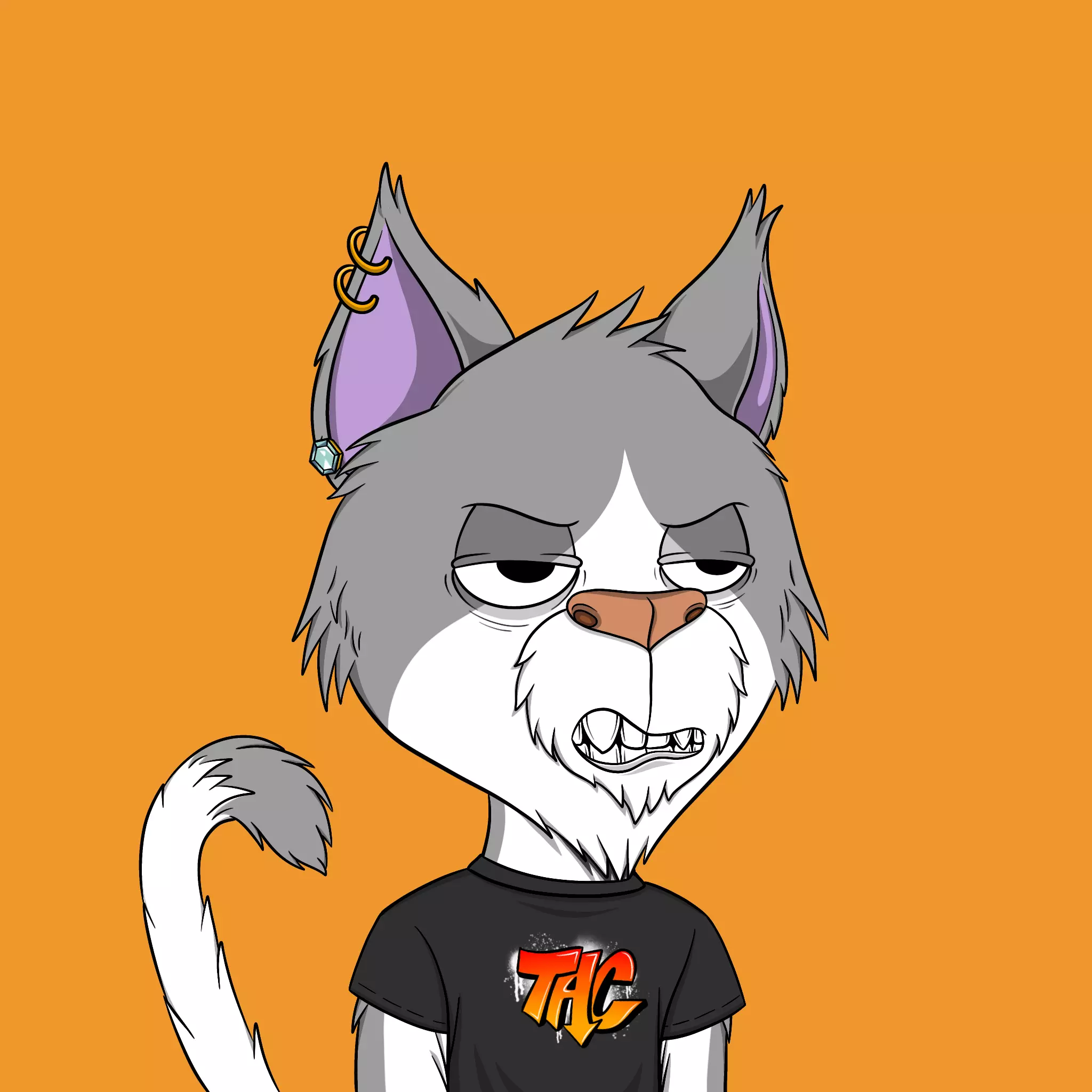 Totally Average Cats #3806 NFT on Algorand