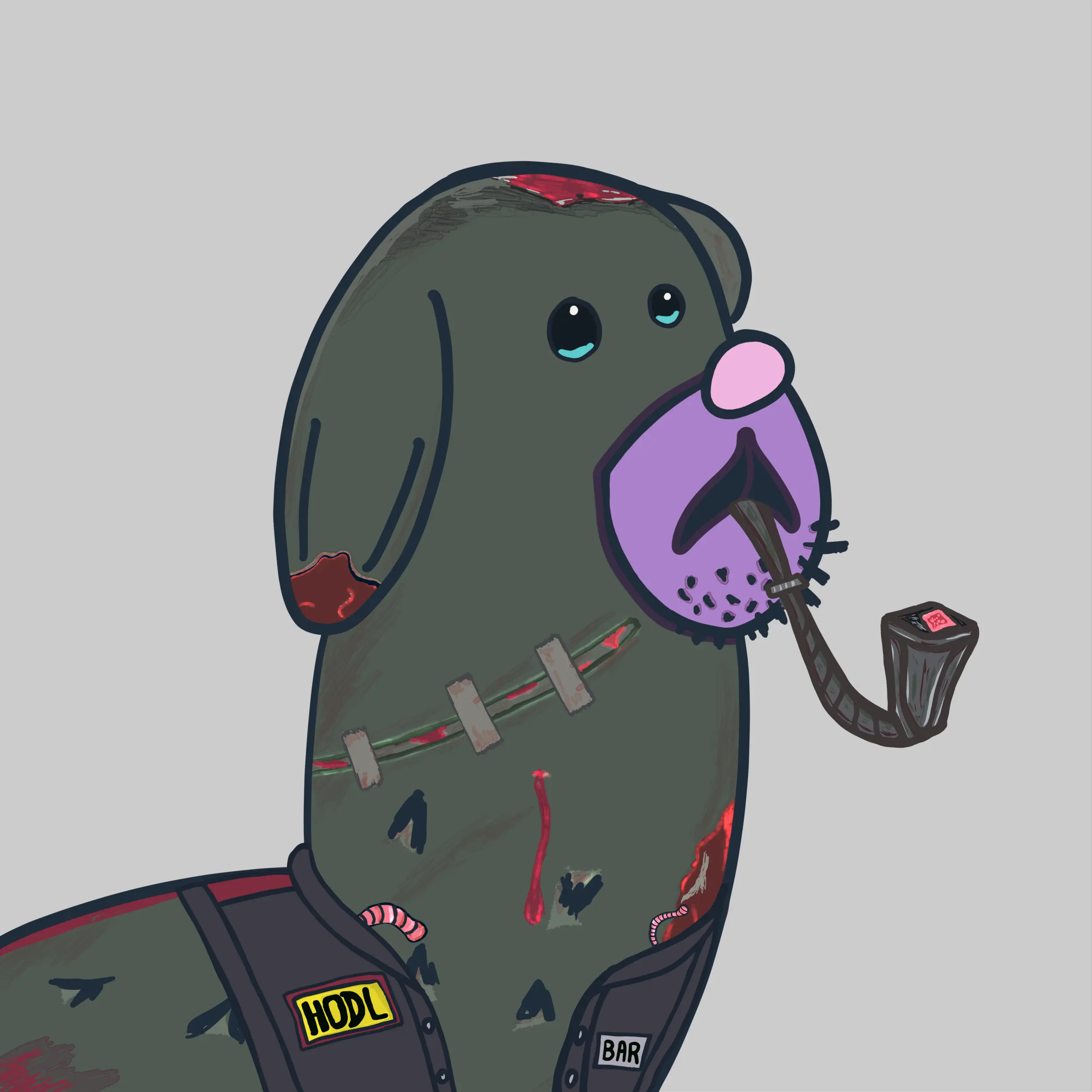 HODLR #1000 NFT on Algorand