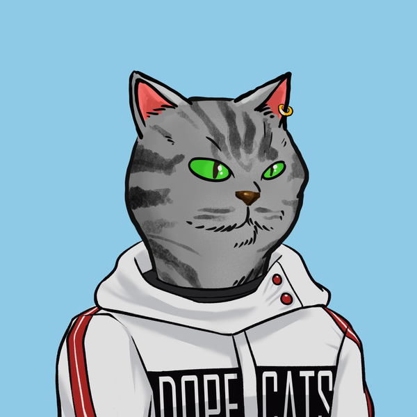 An image of Dope Cat#0018