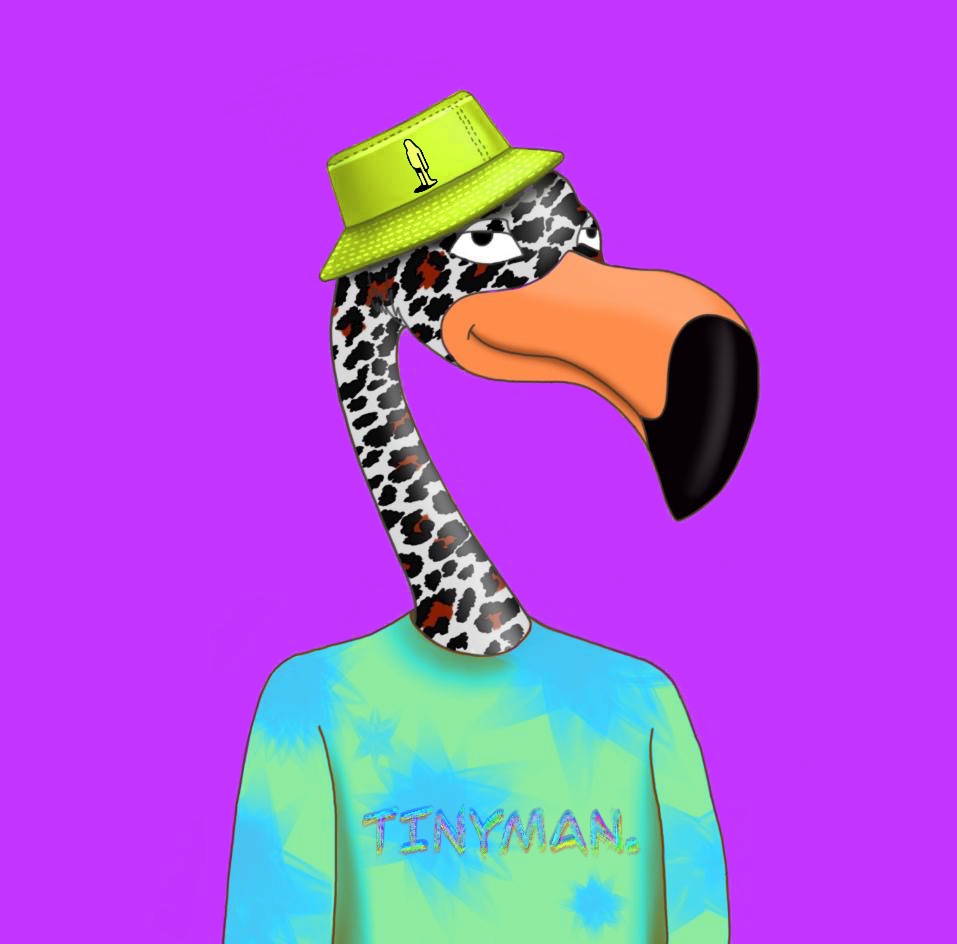 Eclectic Flamingo #132 NFT on Algorand