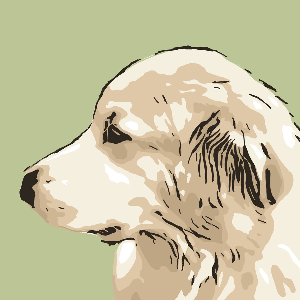 Algo Doggos banner