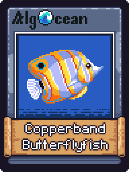 Copperband Butterfly