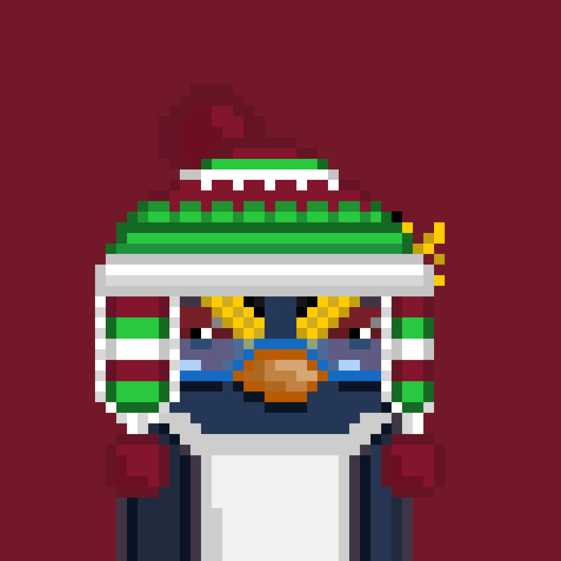 Algo Pengu #1208 NFT on Algorand