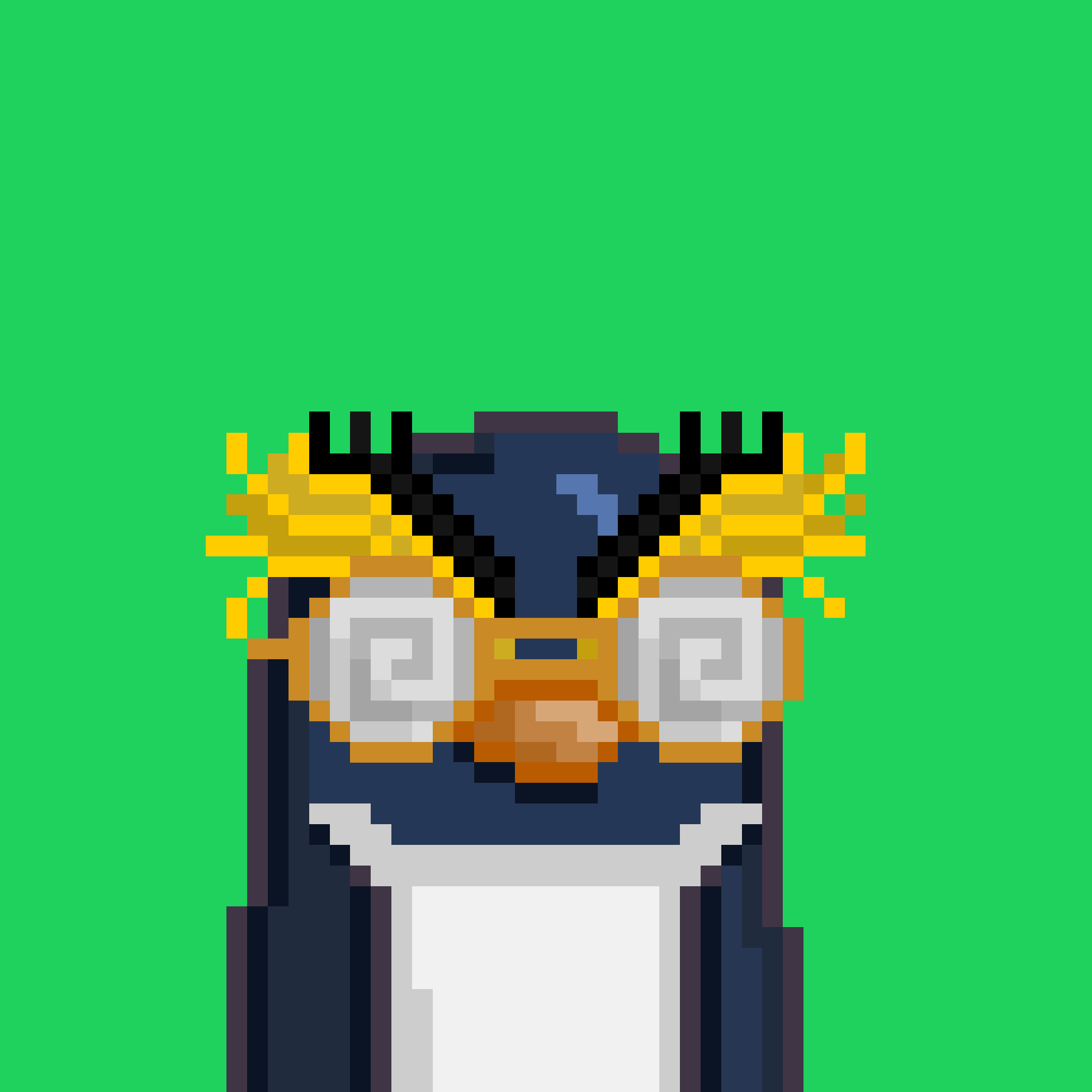 Algo Pengu #640 NFT on Algorand