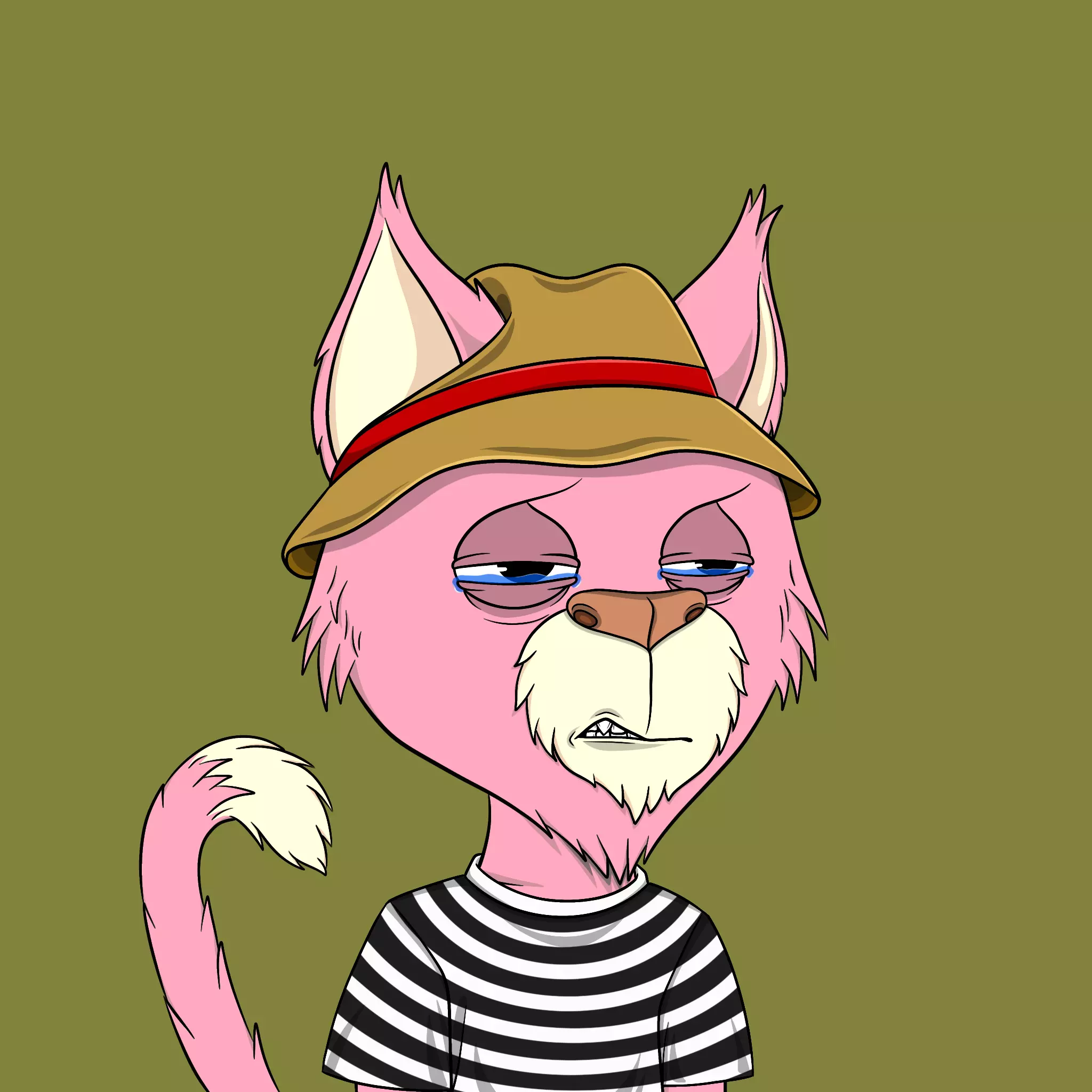 Totally Average Cats #2394 NFT on Algorand
