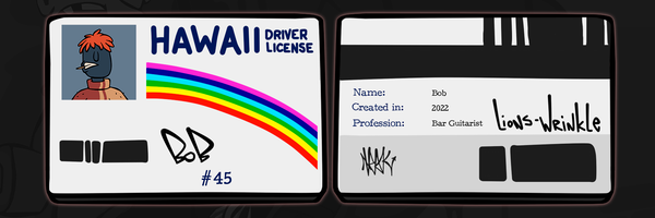 An image of #45 TrokVerse ID