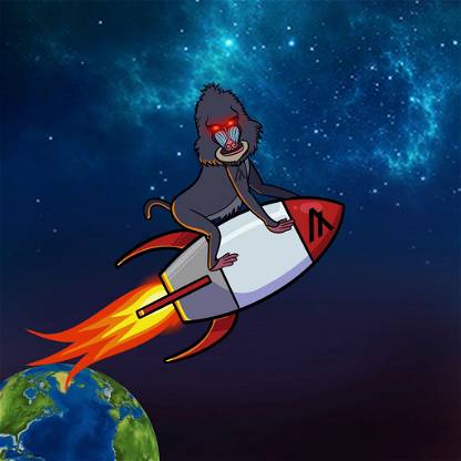 Algo Land #6 Rocket Ape
