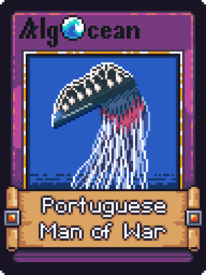Portuguese Man of War