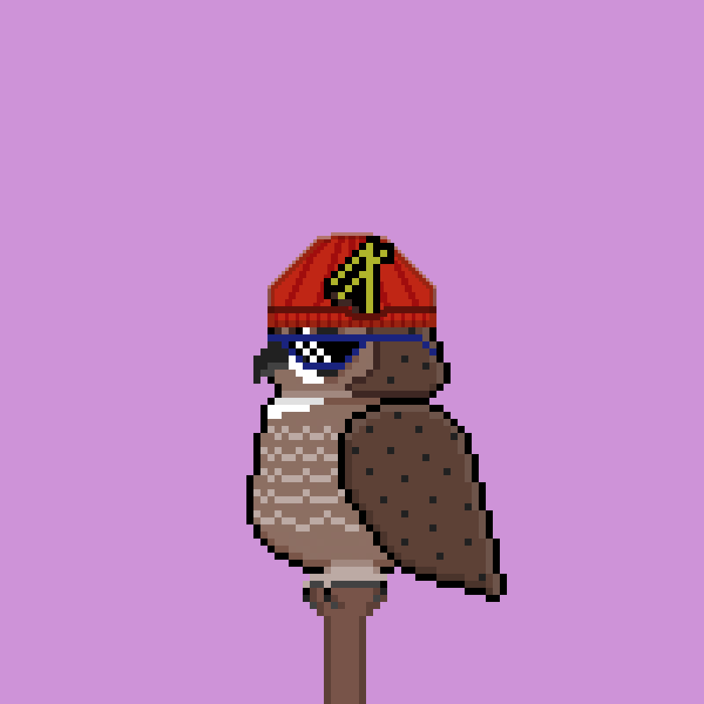 AlgoOwl Rare #080 NFT on Algorand