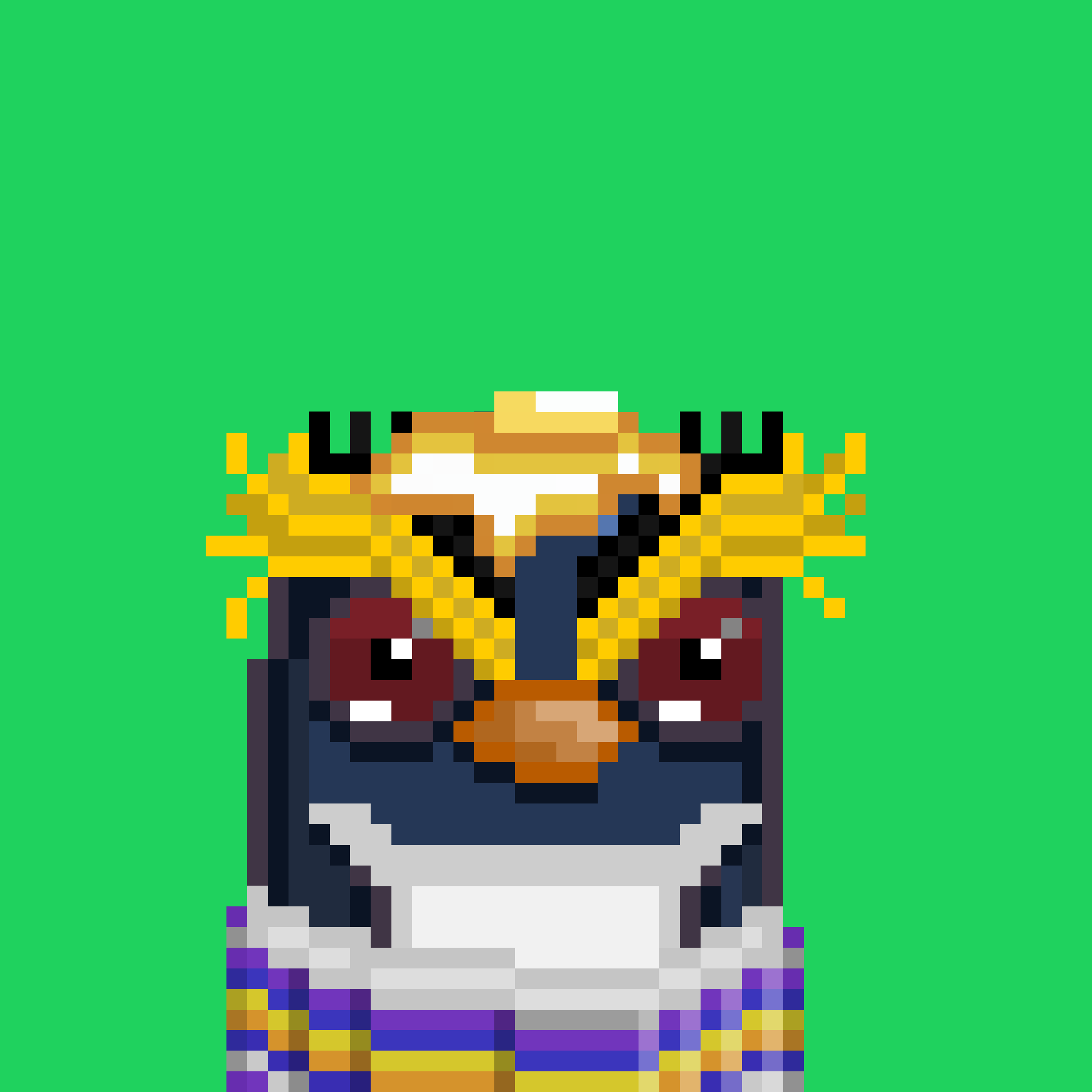 Algo Pengu #507 NFT on Algorand