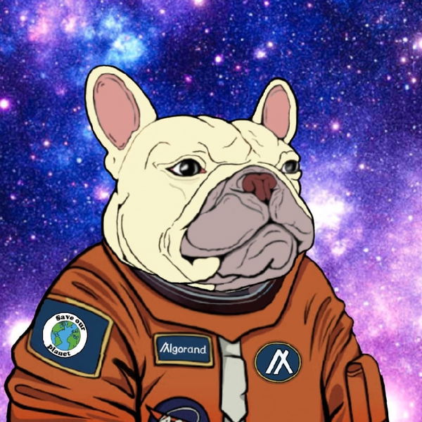 An image of Algo Frenchie#13 Space Dobbie