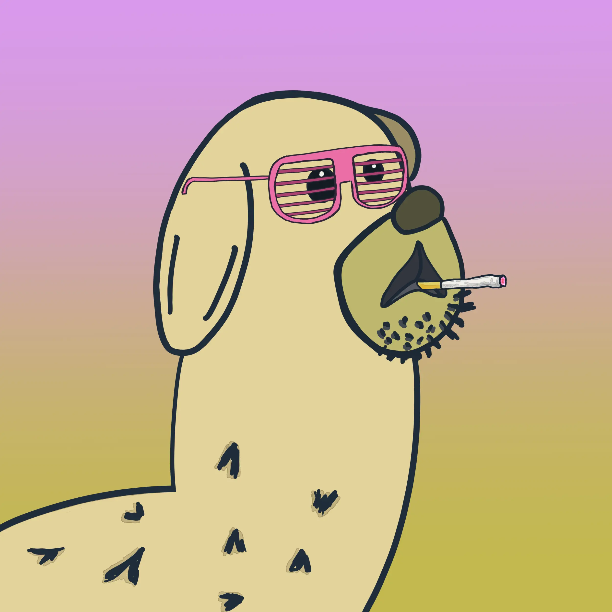 HODLR #52 NFT on Algorand