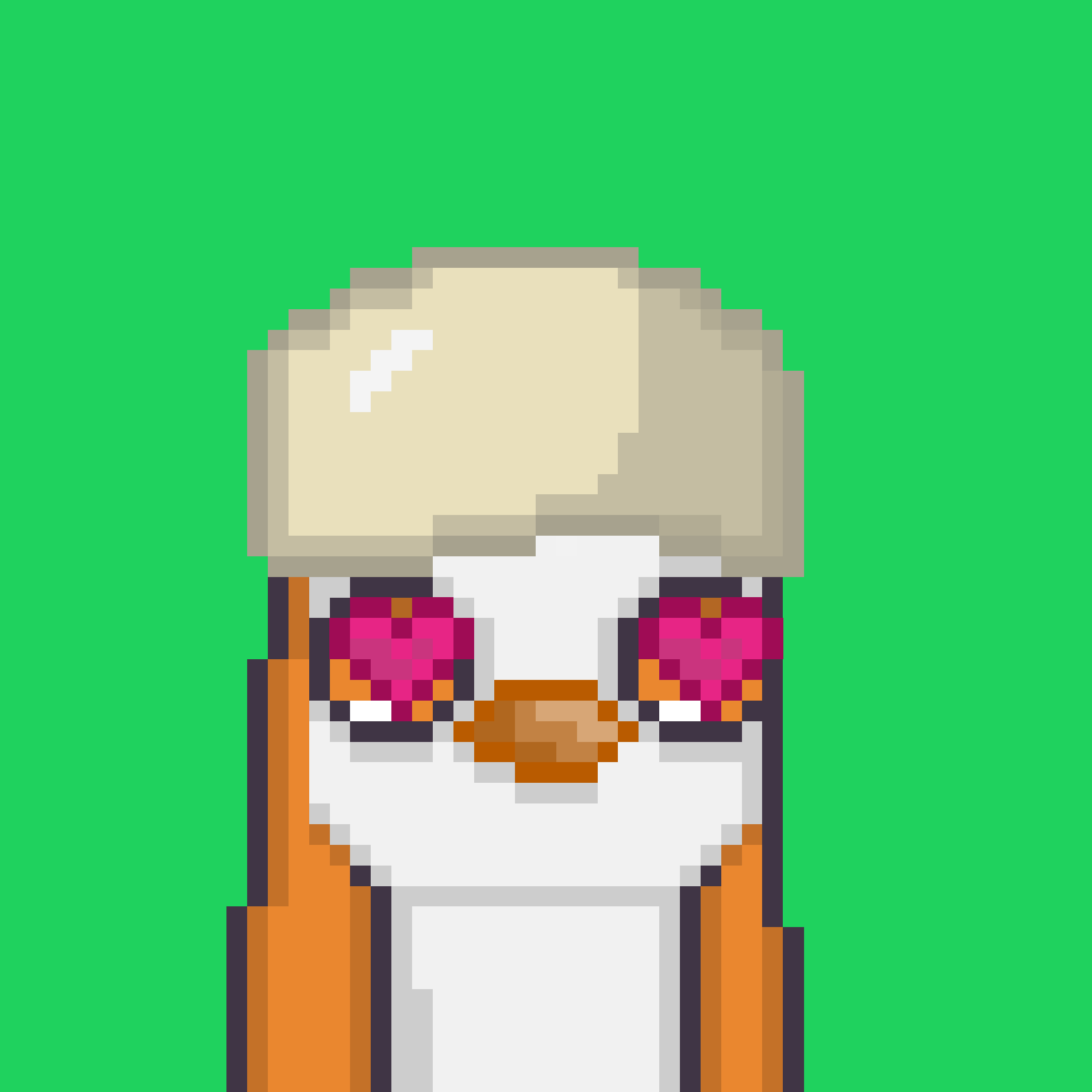 Image of Algo Pengu #2