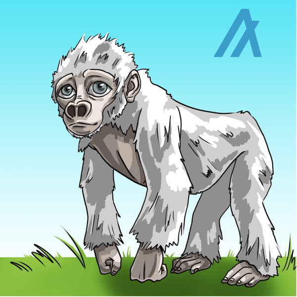 An image of (White)Babyrilla