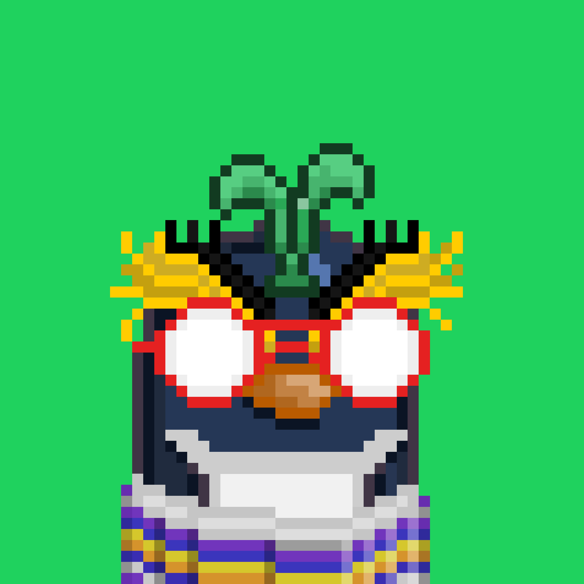 Algo Pengu #1169 NFT on Algorand