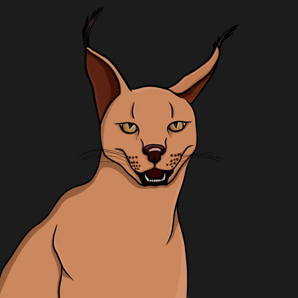 An image of Lince The Cat #1