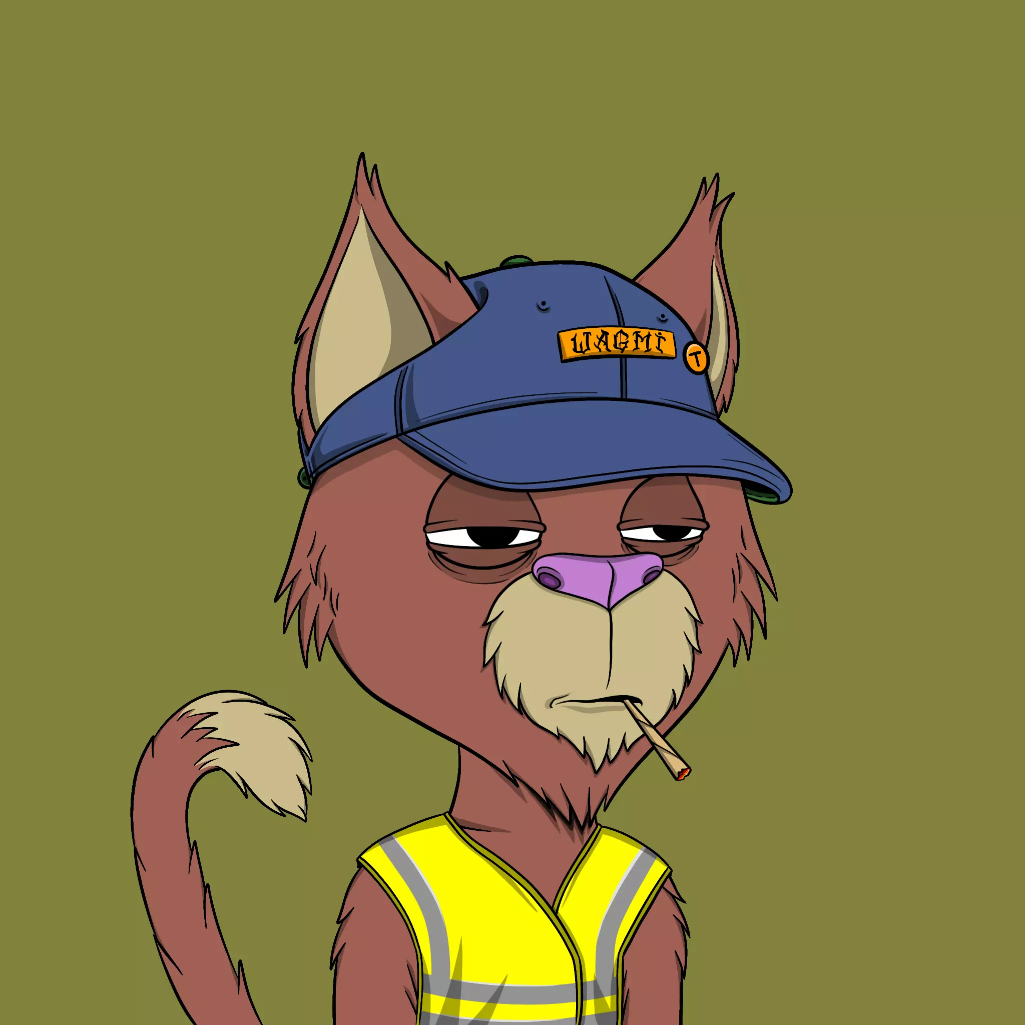 Totally Average Cats #2312 NFT on Algorand