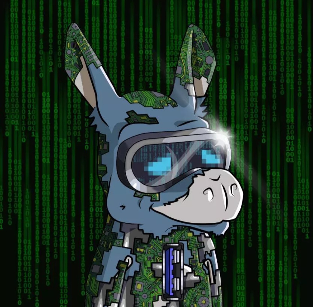 Algo Donkeyno 04 NFT on Algorand