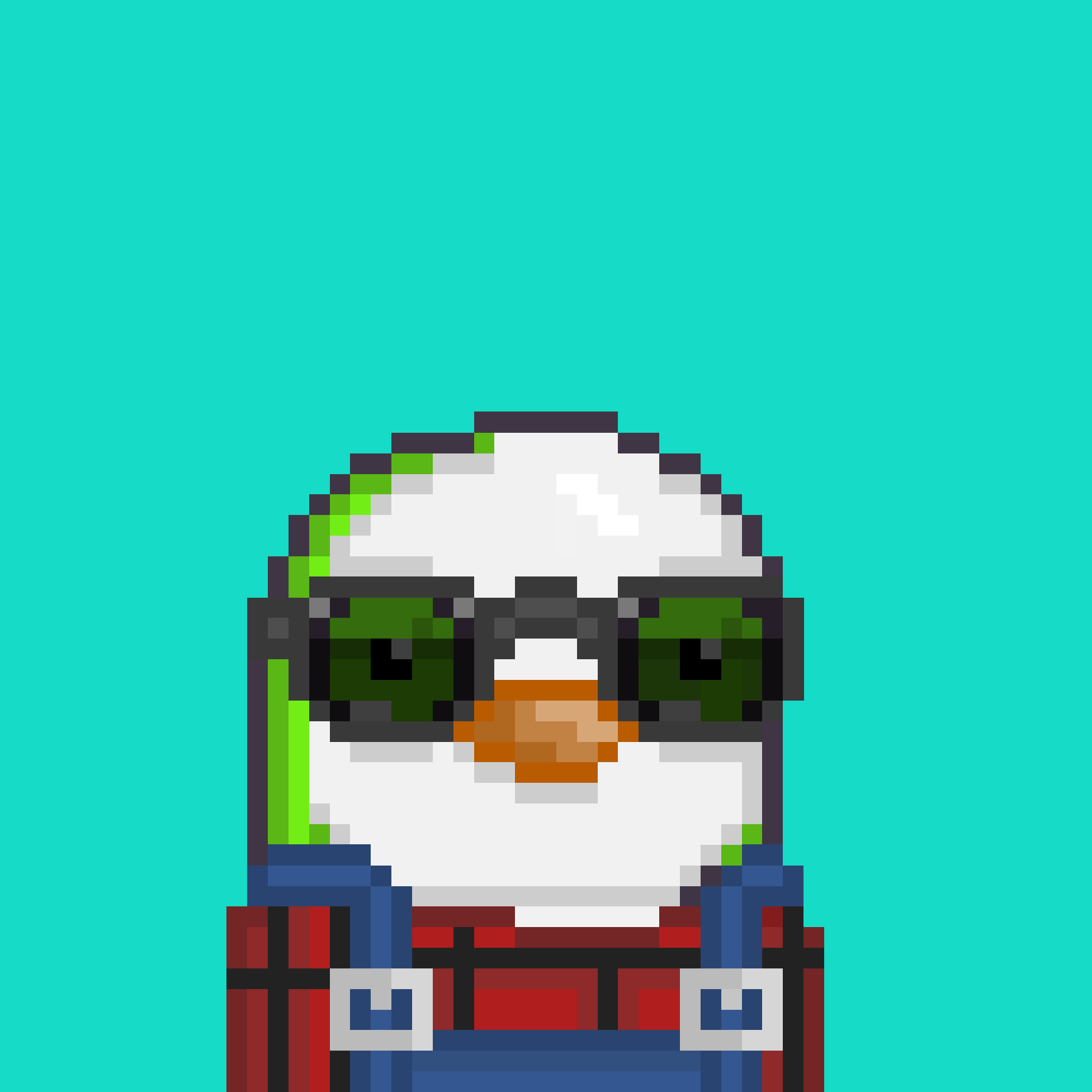 Algo Pengu #1154 NFT on Algorand