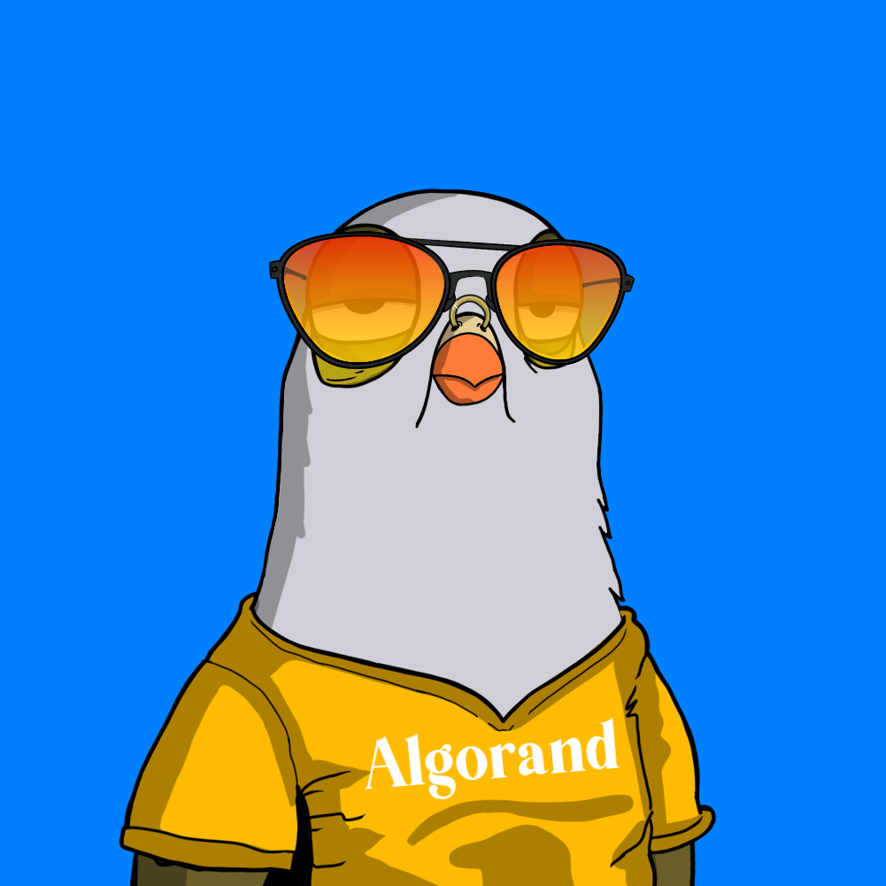 Ghetto Pigeons #0161 NFT on Algorand