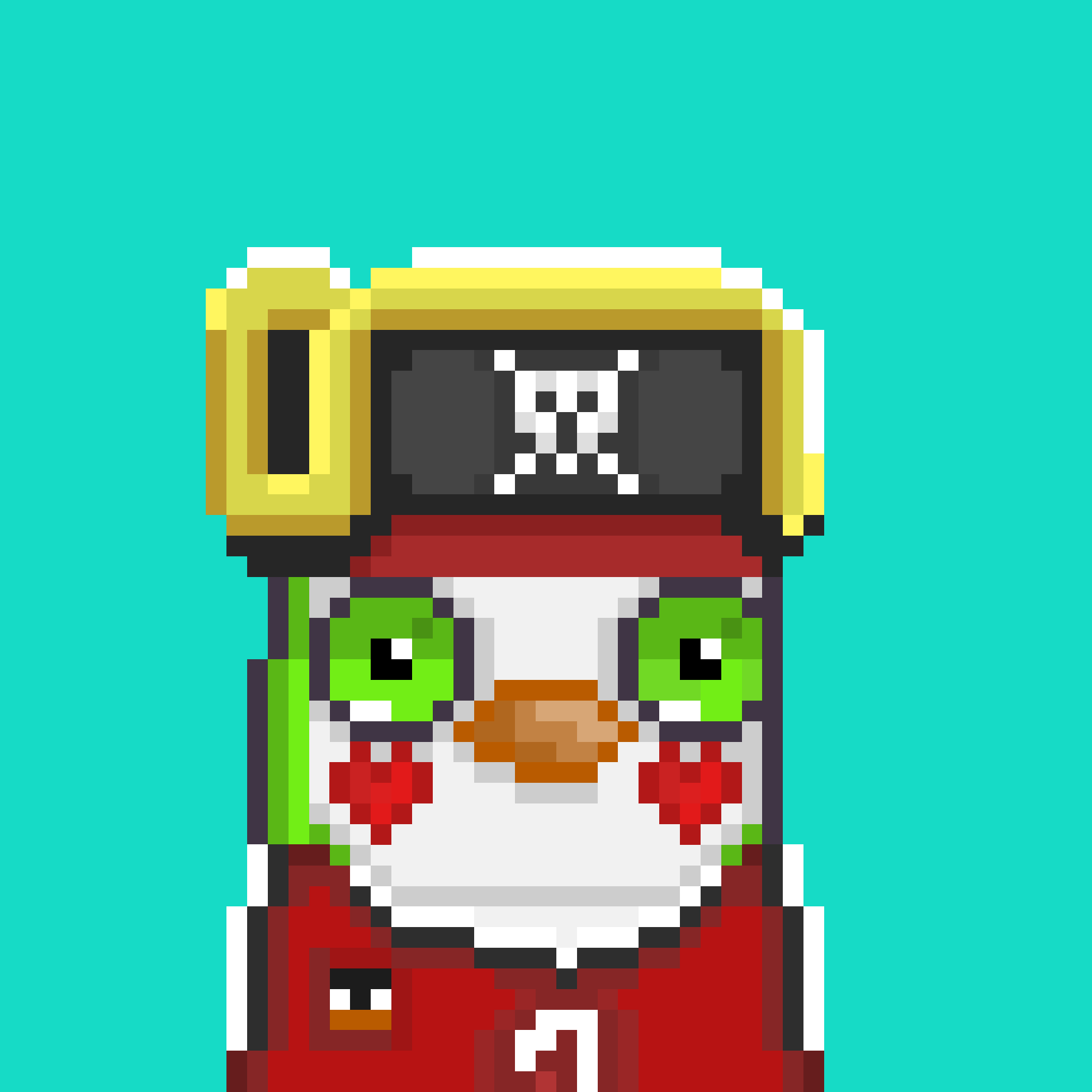 Algo Pengu #646 NFT on Algorand