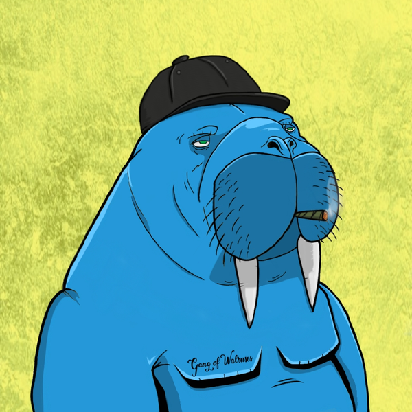 Image of GANG OF WALRUSES #27