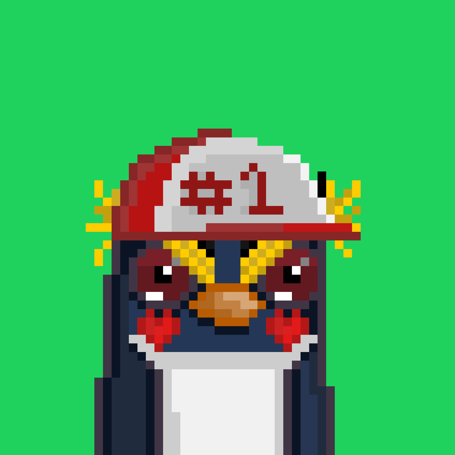 Algo Pengu #1022 NFT on Algorand