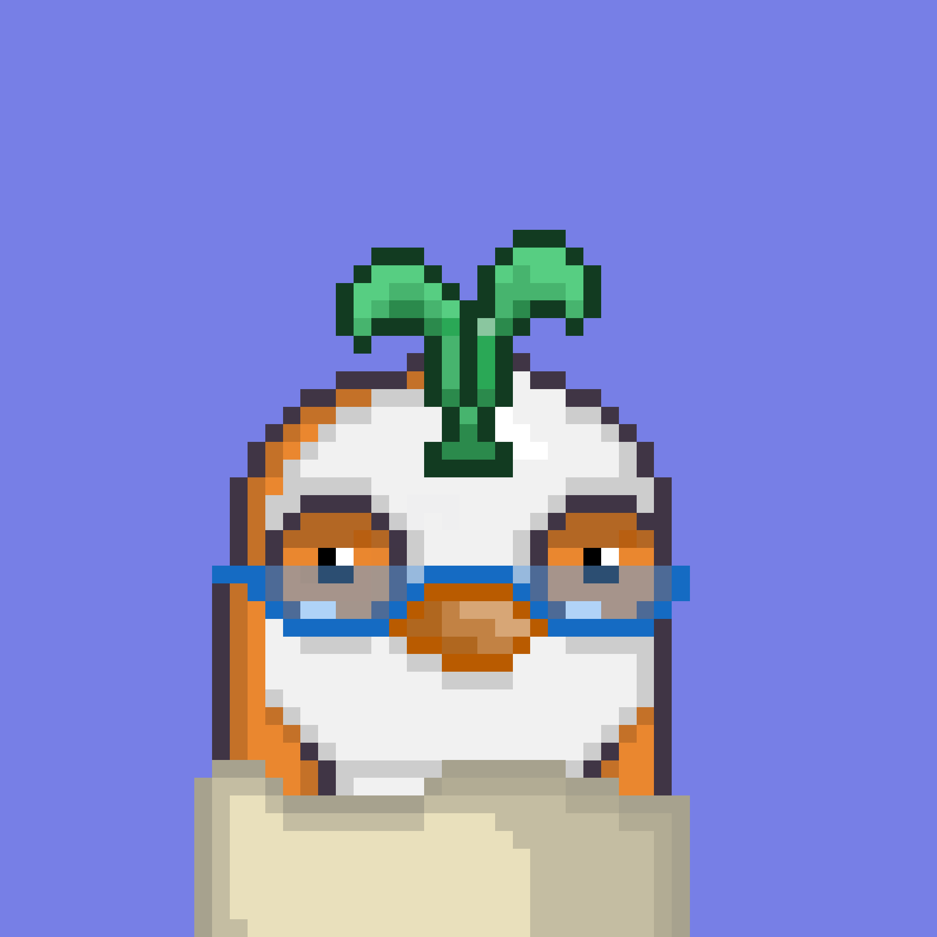 Algo Pengu #557 NFT on Algorand