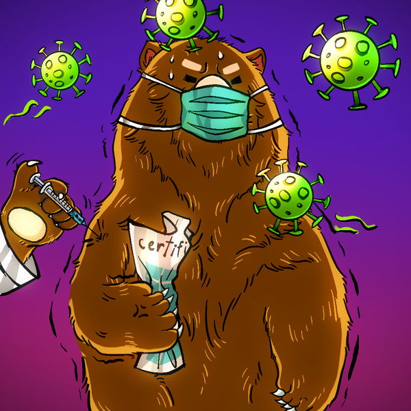 An image of (#032) Beary the Vaccinated