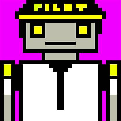Pilot Bot