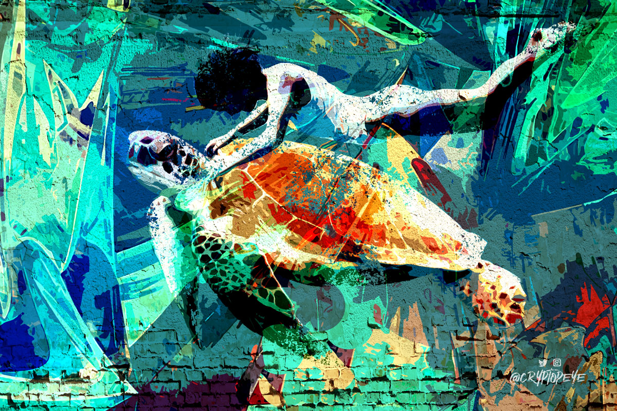 Turtle - 1/1 NFT on Algorand