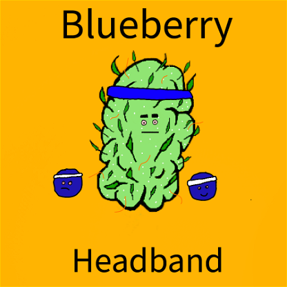 AlgoStonerClub #111 BlueHeadband