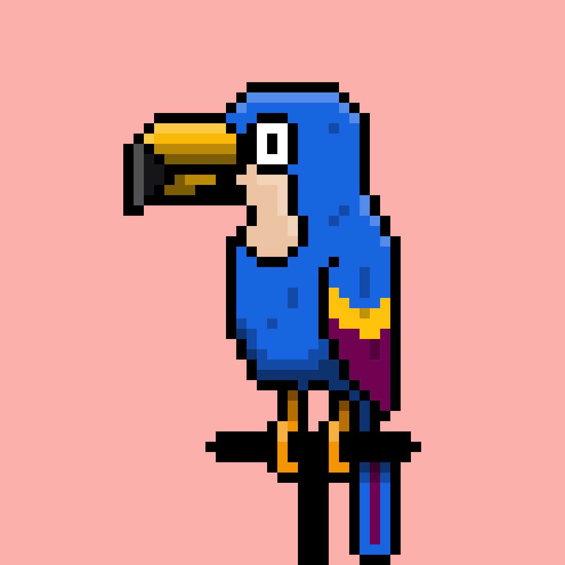 Algoparrot #66 - Rayan NFT on Algorand