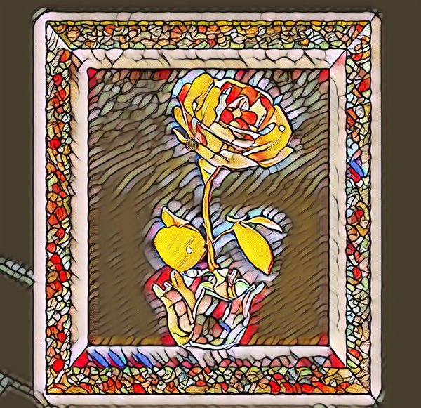 An image of Stained glass rose