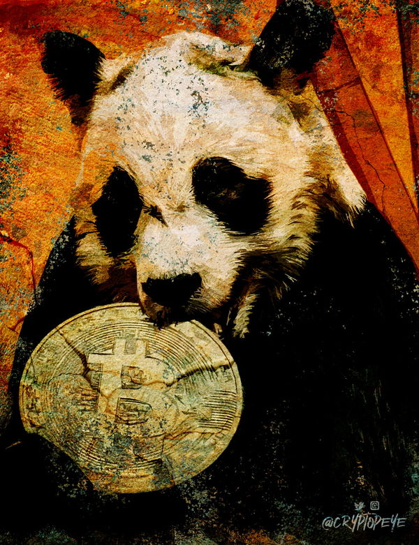 Image of Chinese bear