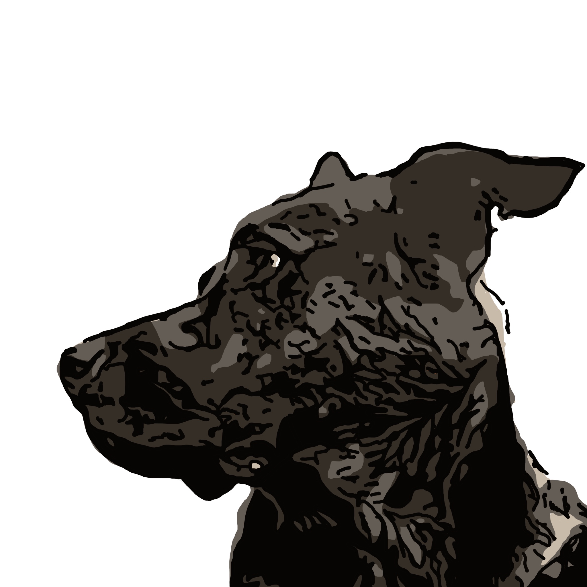 Algo Doggos 5 NFT on Algorand