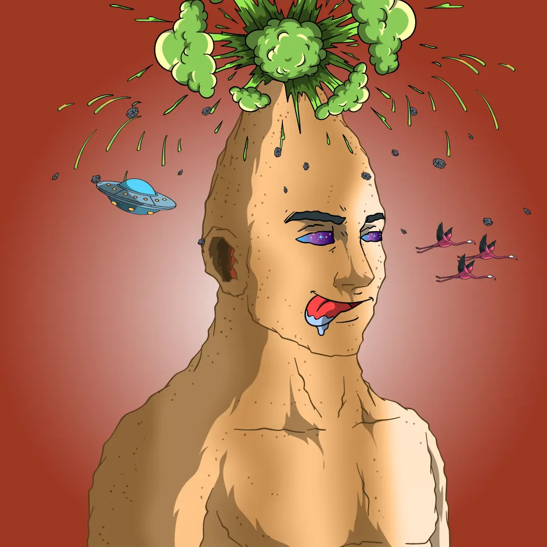 Volcano Boyz #510 NFT on Algorand