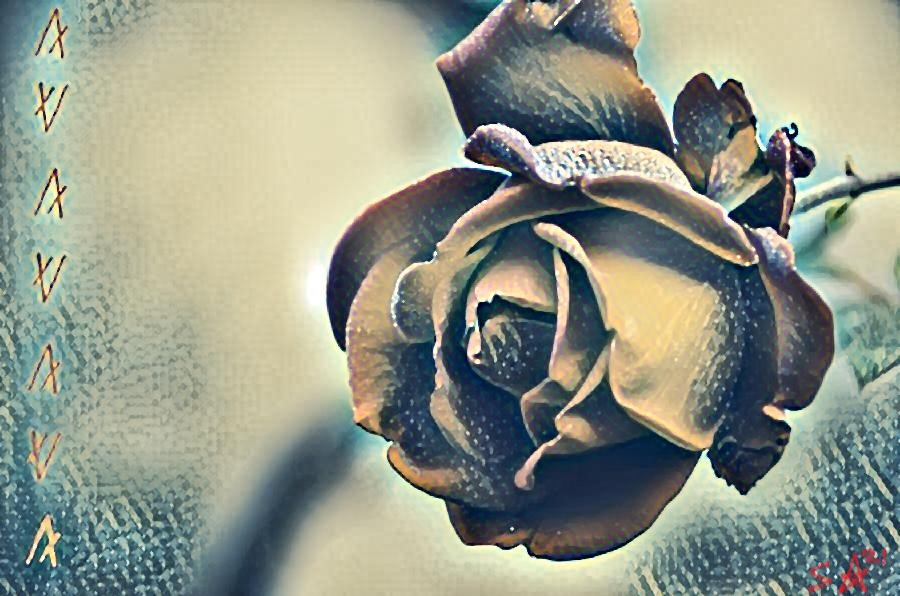 Stone Rose NFT on Algorand