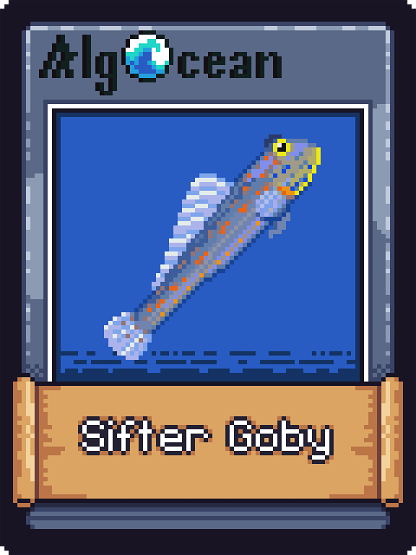 Sifter Goby