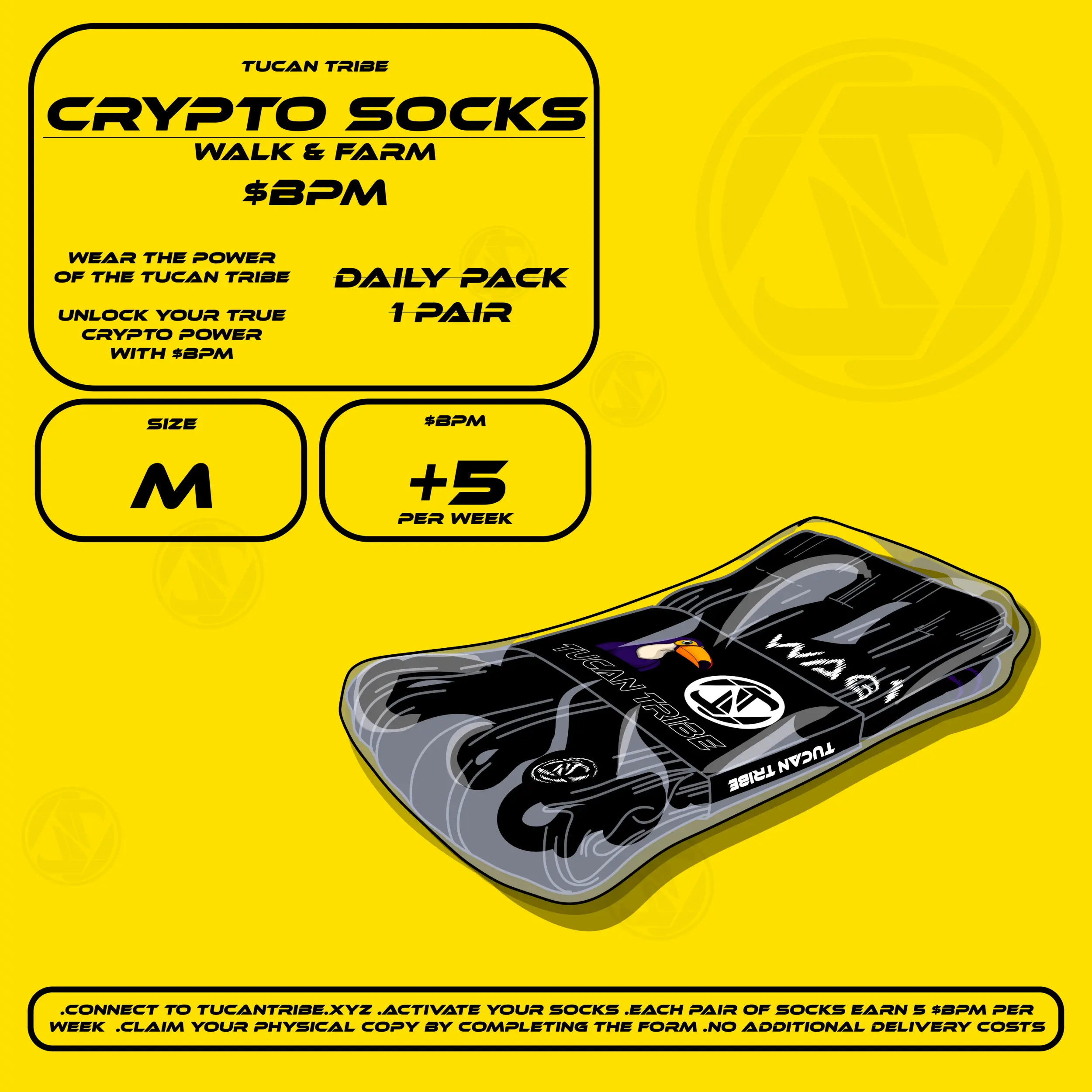Tucan Tribe Crypto Socks #44 NFT on Algorand