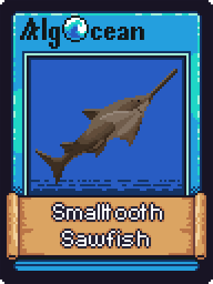 Smalltooth Sawfish