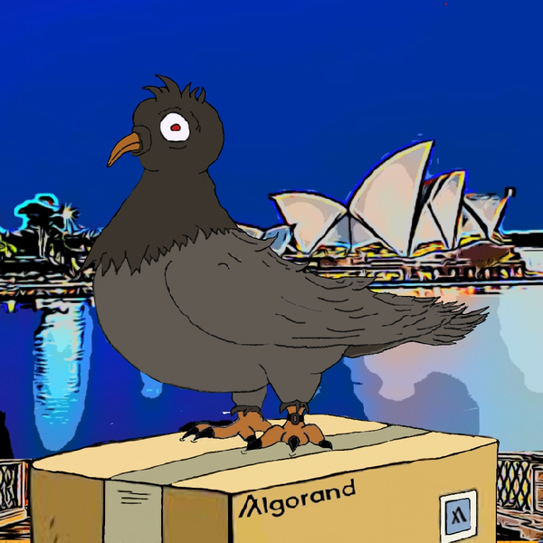 An image of GhettopigeonsNFT#16 barry