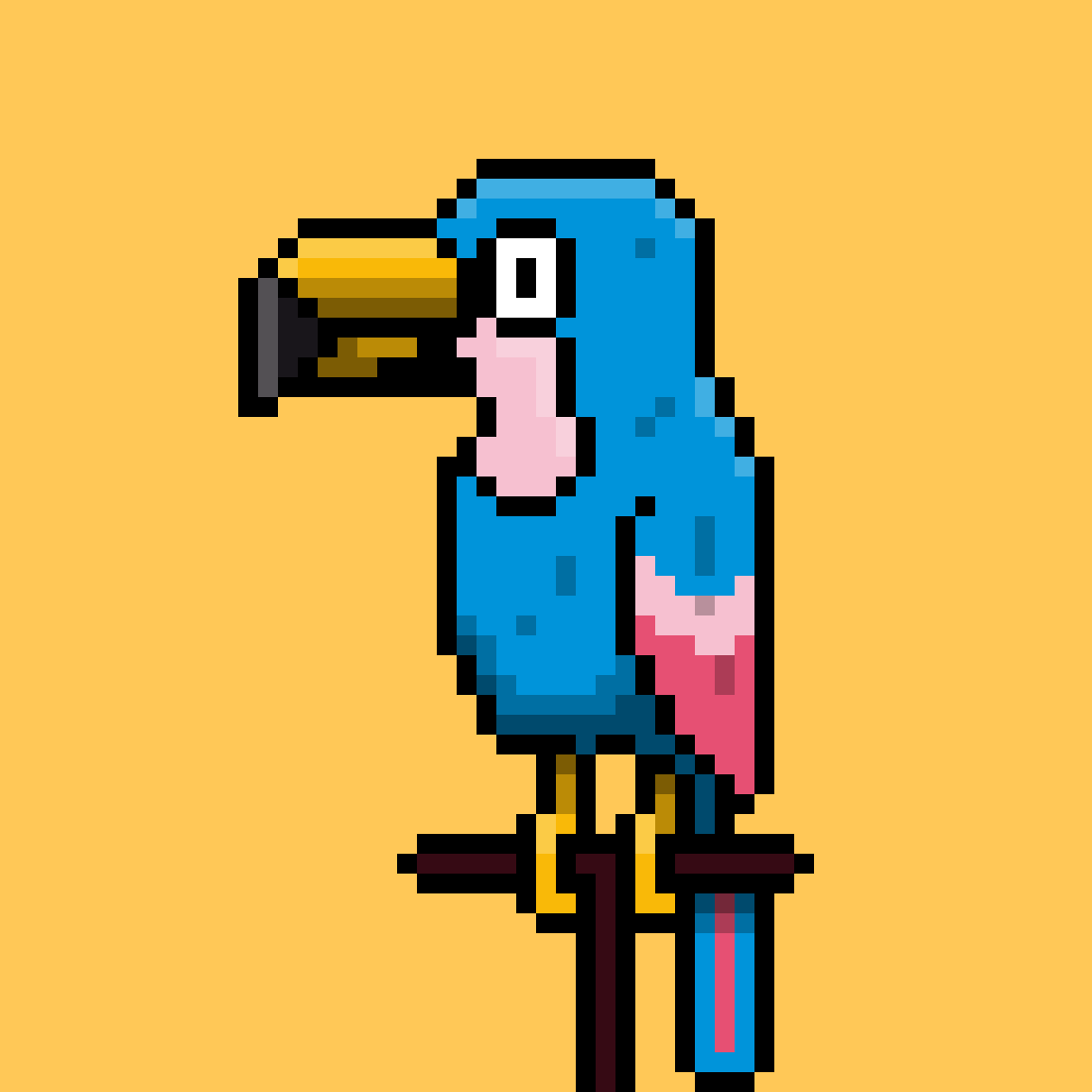 Algoparrots banner