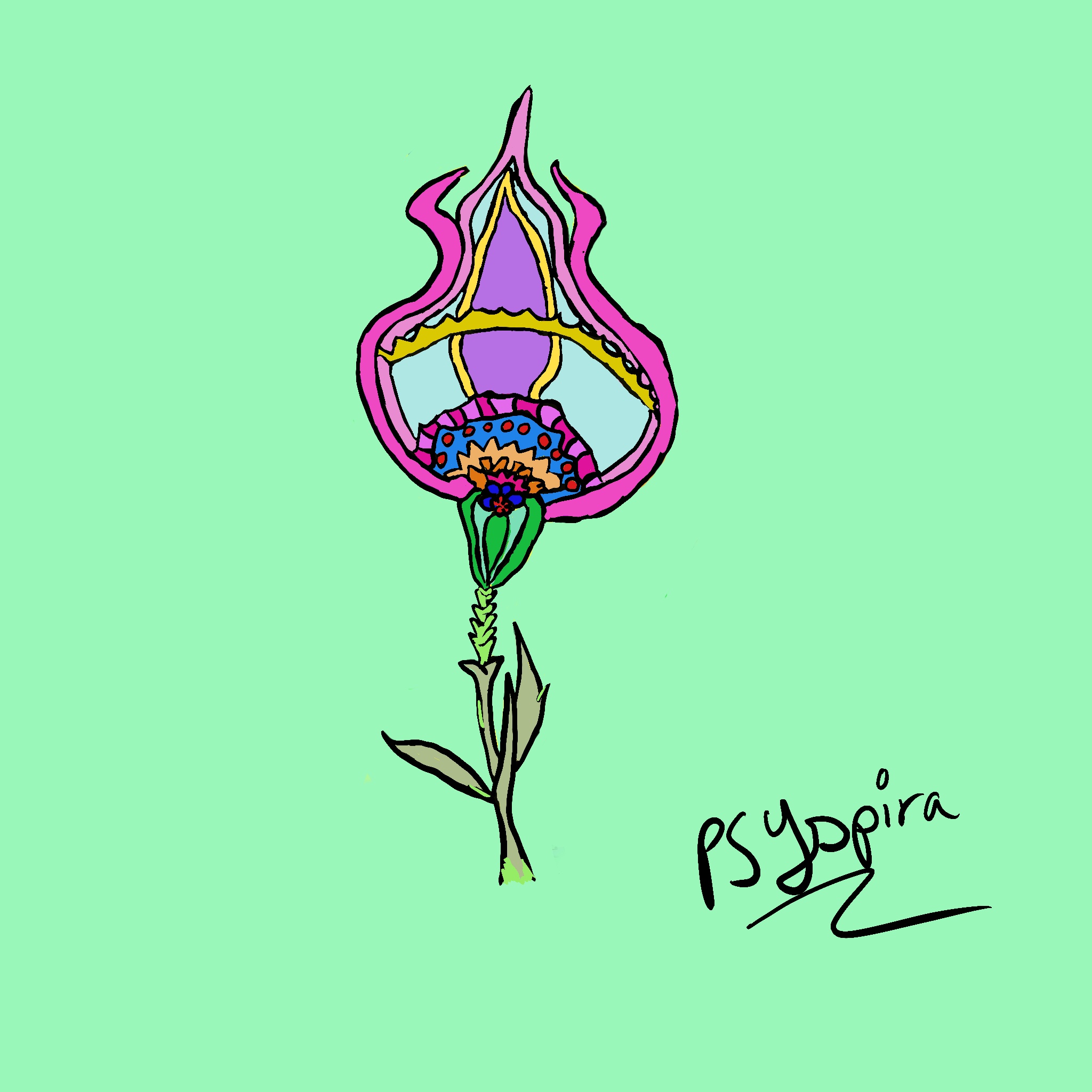 TulipLIME NFT on Algorand