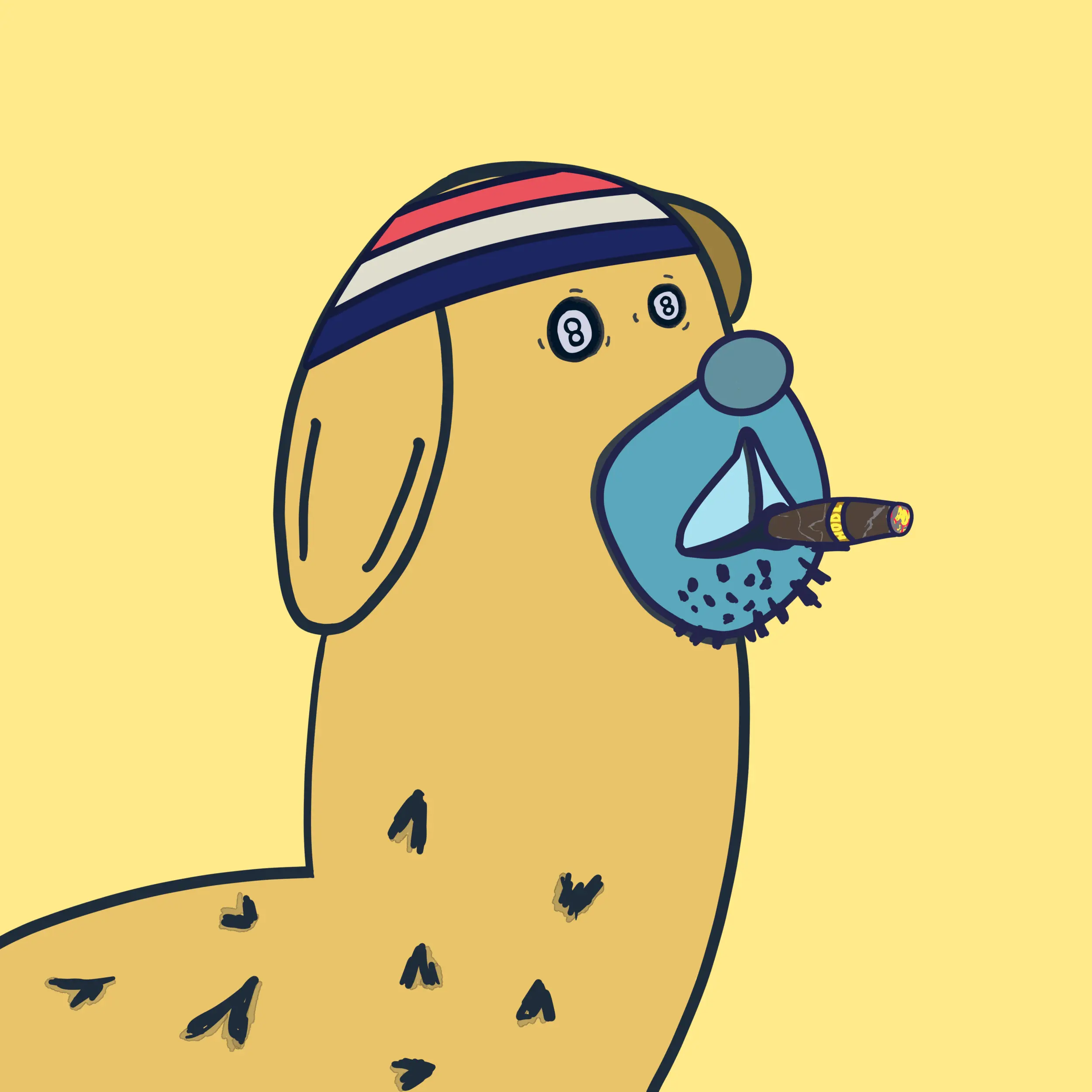 HODLR #552 NFT on Algorand