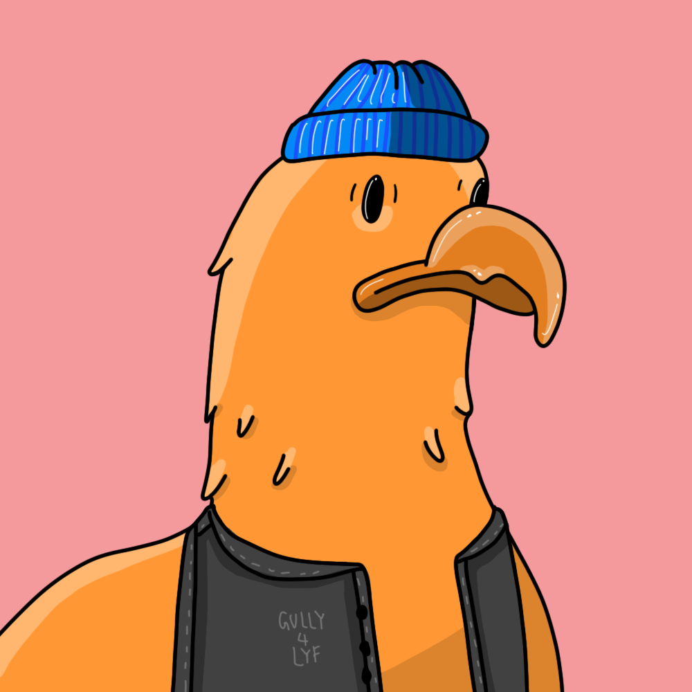GULLY 2968 icon