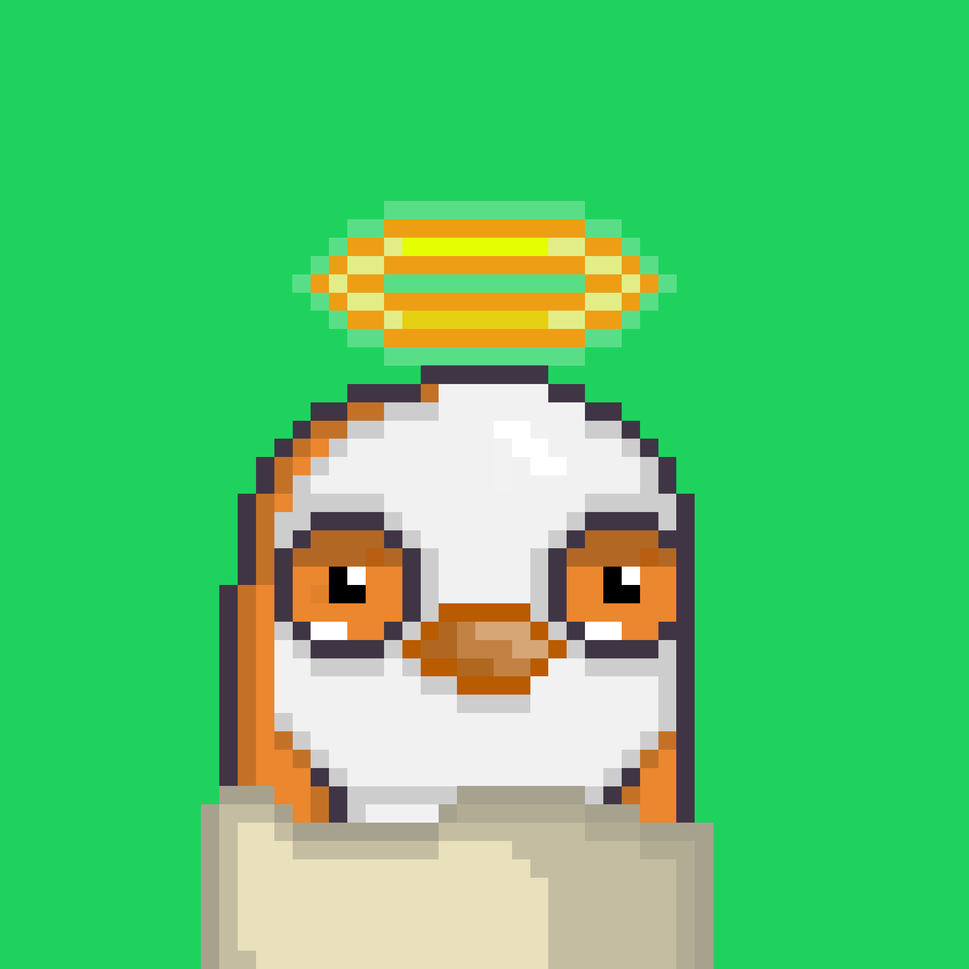 Algo Pengu #673 NFT on Algorand